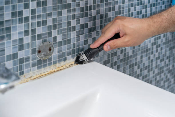 Best DIY Mold Remediation Support Services in Wichita, KS