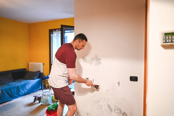Best Bathroom Mold Remediation in Wichita, KS